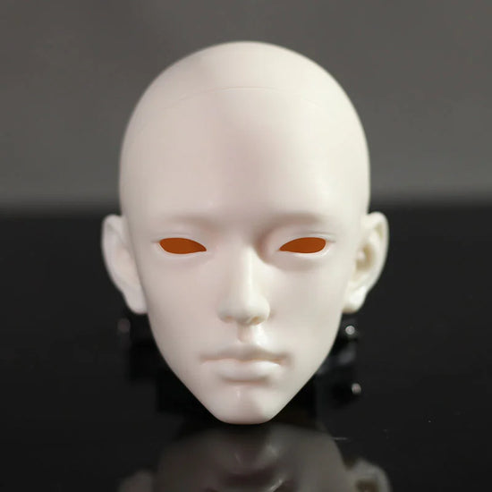 FMD Head